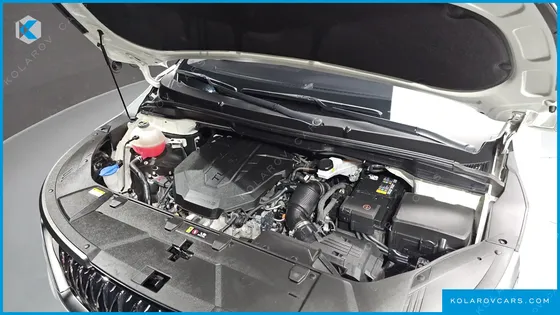 KIA CARNIVAL DIESEL 9-SEATER NOBLESSE