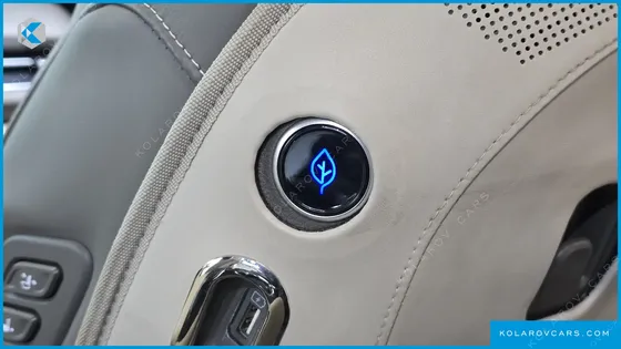 KIA CARNIVAL GASOLINE 9-SEATER HI-LIMOUSINE