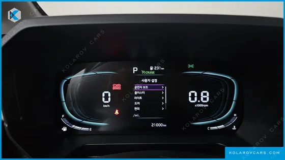 KIA RAY SIGNATURE
