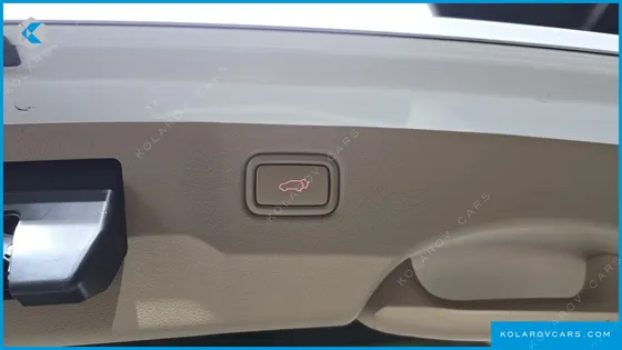 KIA CARNIVAL 9-SEATER PRESTIGE