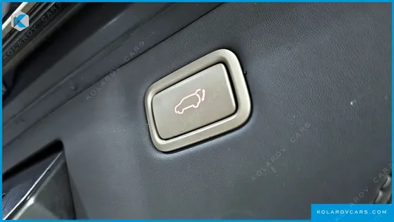 KIA CARNIVAL 9-SEATER NOBLESSE
