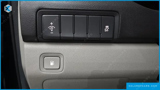KIA CARNIVAL 9-SEATER LUXURY