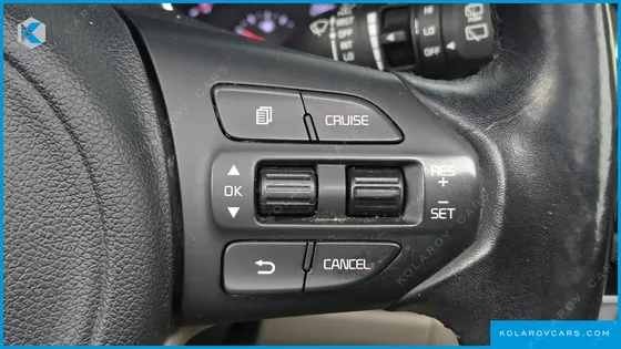 KIA CARNIVAL 9-SEATER NOBLESSE