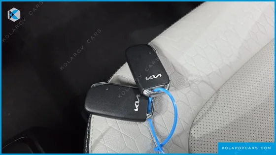 KIA RAY SIGNATURE