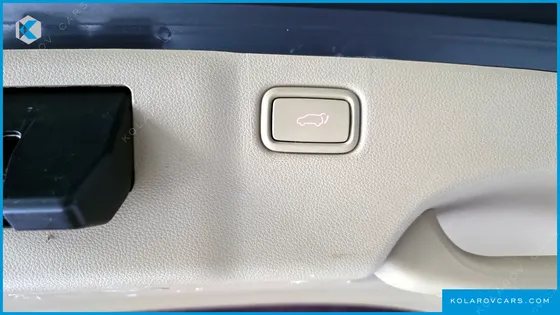 KIA CARNIVAL 9-SEATER NOBLESSE