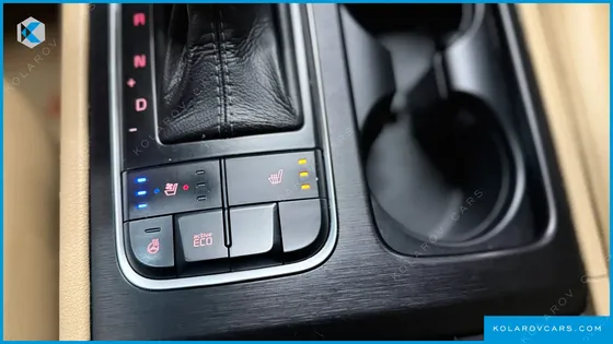 KIA CARNIVAL 9-SEATER LUXURY