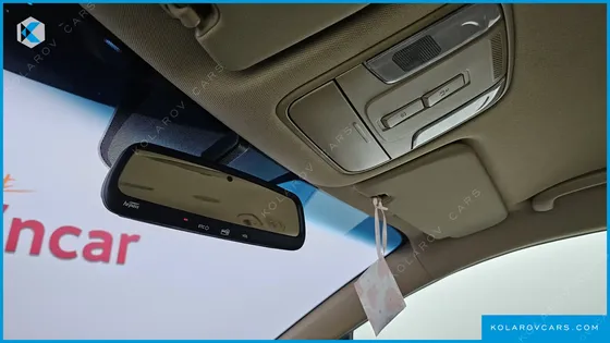 KIA CARNIVAL 9-SEATER LUXURY
