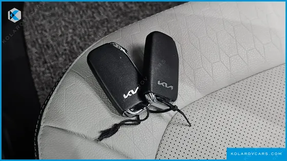 KIA RAY SIGNATURE