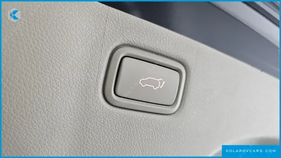 KIA CARNIVAL 9-SEATER NOBLESSE