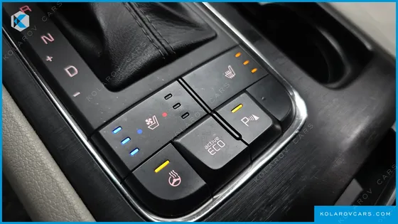KIA CARNIVAL 9-SEATER LUXURY