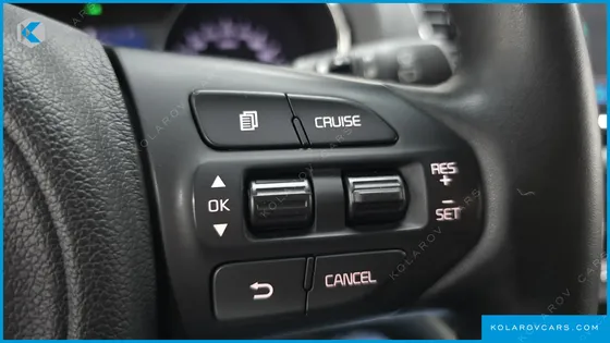 KIA CARNIVAL 9-SEATER LUXURY