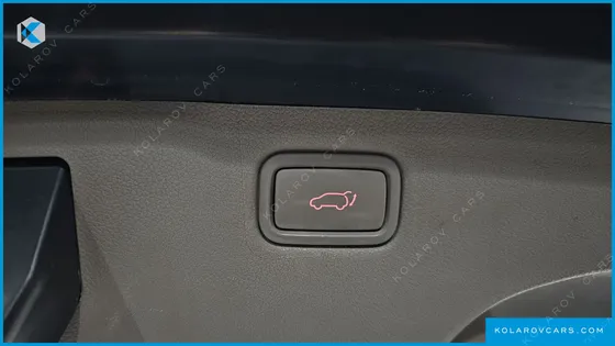 KIA CARNIVAL 7-SEATER LIMOUSINE