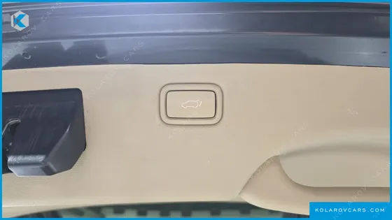 KIA CARNIVAL GASOLINE 7-SEATER HI-LIMOUSINE