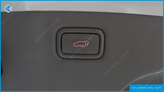 KIA CARNIVAL 9-SEATER NOBLESSE