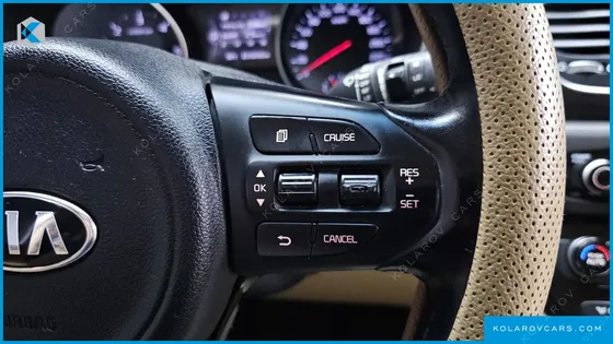 KIA CARNIVAL 9-SEATER LUXURY