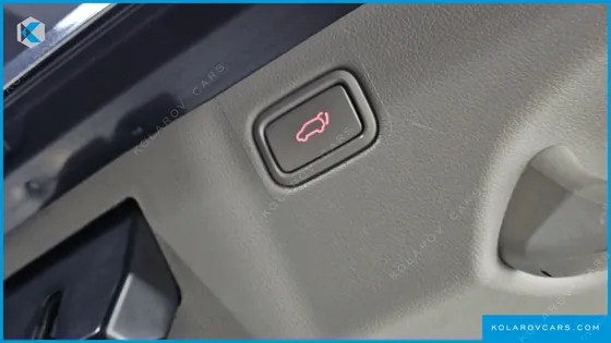 KIA CARNIVAL 9-SEATER NOBLESSE SPECIAL