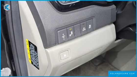 KIA CARNIVAL 9-SEATER NOBLESSE SPECIAL