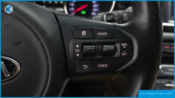 KIA CARNIVAL GASOLINE 7-SEATER HI-LIMOUSINE