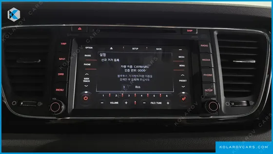 KIA CARNIVAL 7-SEATER LIMOUSINE