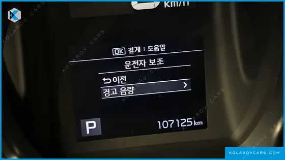 KIA RAY SIGNATURE
