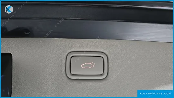 KIA CARNIVAL 9-SEATER NOBLESSE SPECIAL
