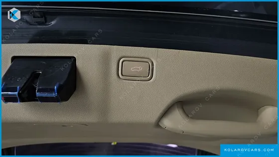 KIA CARNIVAL 9-SEATER HI-LIMOUSINE