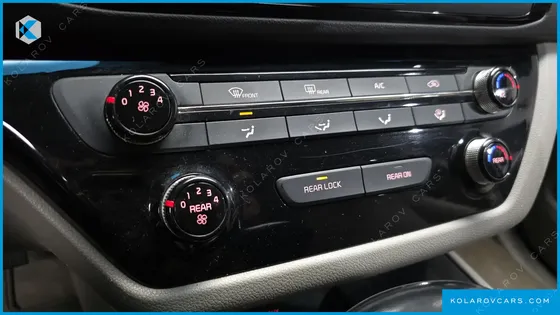 KIA CARNIVAL 9-SEATER LUXURY