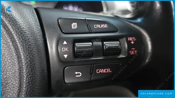 KIA CARNIVAL 9-SEATER LUXURY