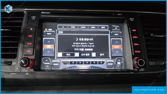 KIA CARNIVAL 9-SEATER LUXURY