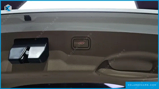 KIA CARNIVAL 9-SEATER PRESTIGE