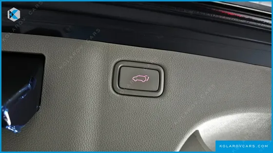 KIA CARNIVAL 9-SEATER PRESTIGE