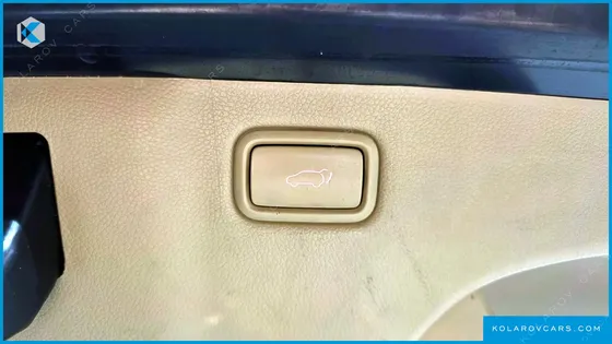 KIA CARNIVAL 9-SEATER PRESTIGE