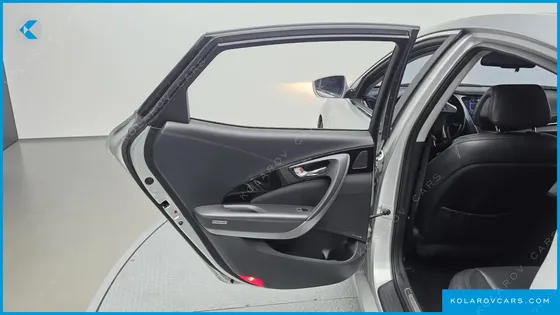 HYUNDAI GRANDEUR LPG HG300 HANDICAPPED ONLY
