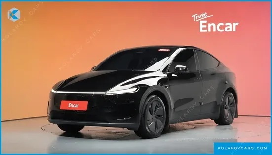 TESLA MODEL Y PREMIUM LONG RANGE AWD