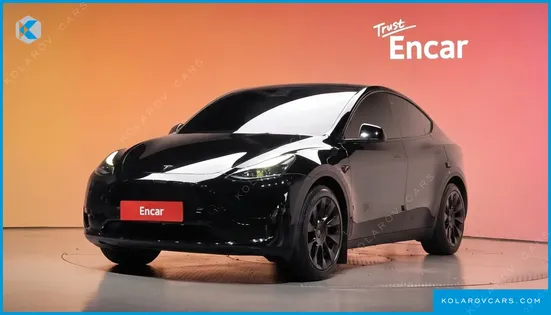 TESLA MODEL Y RWD