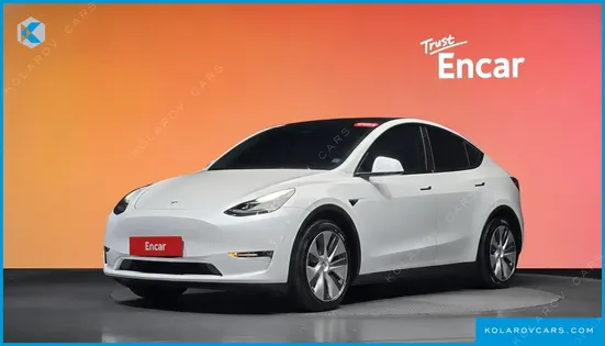 TESLA MODEL Y LONG RANGE AWD