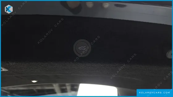TESLA MODEL Y L LONG RANGE AWD