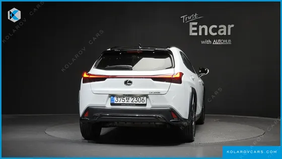 LEXUS UX 2.0 F-SPORT 2WD