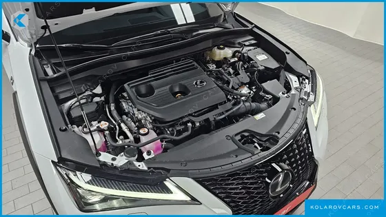 LEXUS UX 2.0 F-SPORT 2WD