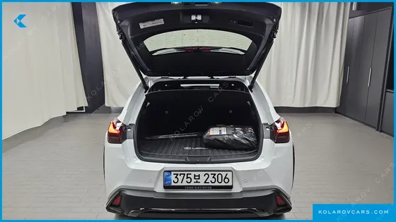 LEXUS UX 2.0 F-SPORT 2WD