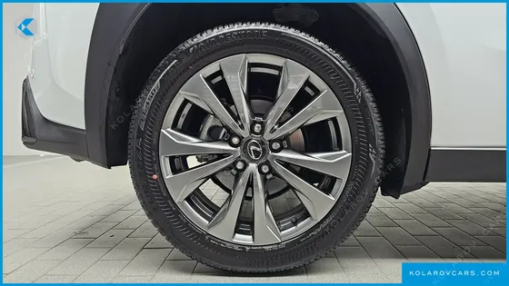 LEXUS UX 2.0 F-SPORT 2WD