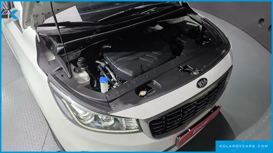 KIA CARNIVAL 7-SEATER LIMOUSINE