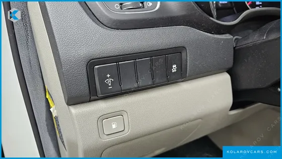 KIA CARNIVAL 9-SEATER LUXURY