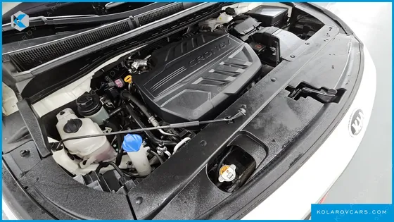 KIA CARNIVAL 9-SEATER NOBLESSE SPECIAL