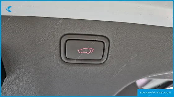 KIA CARNIVAL 9-SEATER NOBLESSE SPECIAL