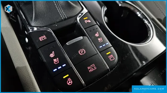 KIA CARNIVAL 9-SEATER NOBLESSE SPECIAL