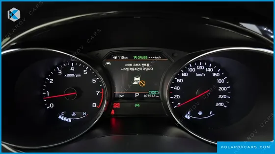 KIA CARNIVAL GASOLINE 7-SEATER LIMOUSINE