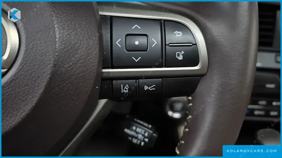 LEXUS RX EXECUTIVE