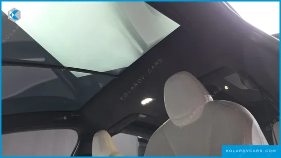 TESLA MODEL X PLAID