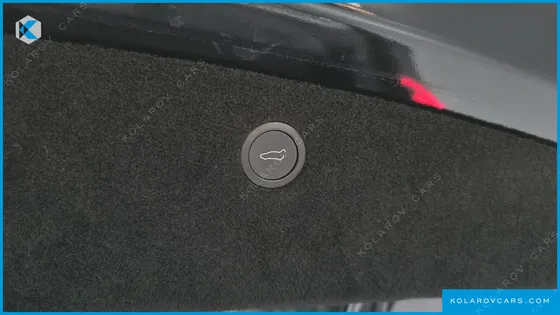 TESLA MODEL X PLAID